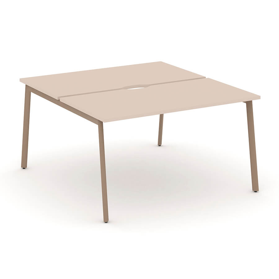 ES.D.RS-2.3-VP Рабочая станция на 2 места RIVA Estetica (Капучино/Металл Латте)