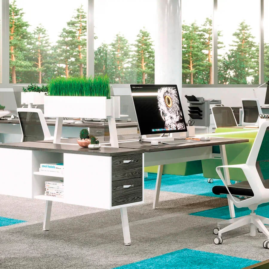 55