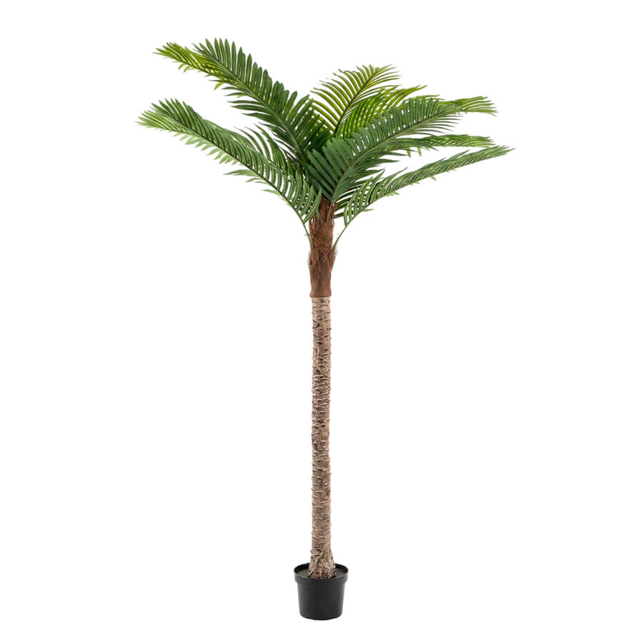 MC-20511LJ Искусственная финиковая пальма Евро Офис (Зелёный)