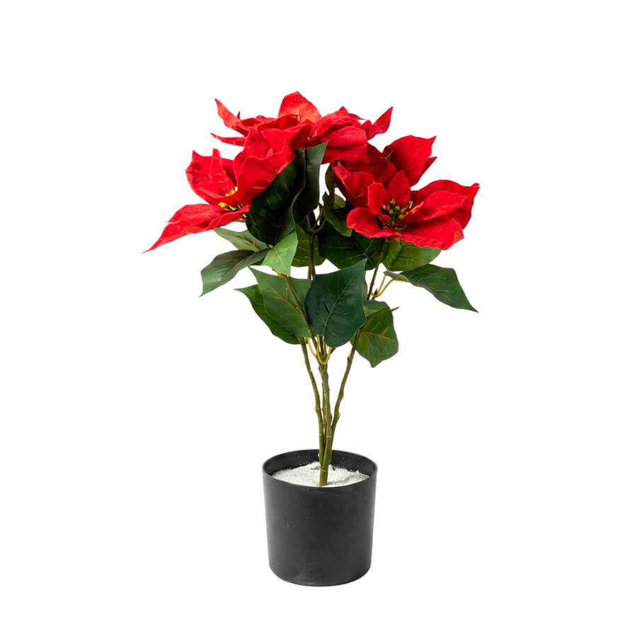 MC-86280QC Искусственая пуансеттия Евро Офис (Зелёный)