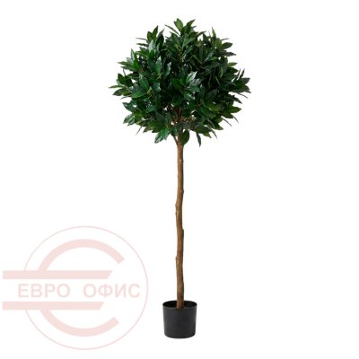 MC-76031QS Лавр круглый на высоком стволе Евро Офис (Зелёный)