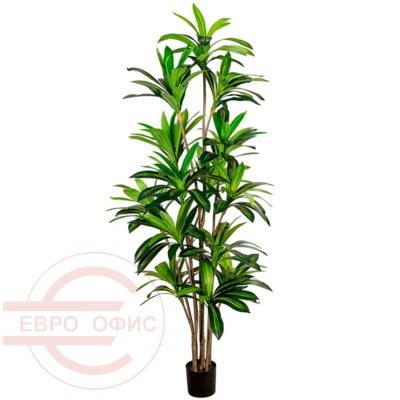 MC-11041SL Искусственная драцена Евро Офис (Зелёный)