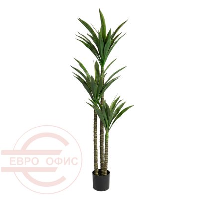 MC-81042HR Искусственная драцена Евро Офис (Зелёный)
