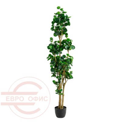 QS-A09156-385 Искусственный фикус «Панда» Евро Офис (Зелёный)