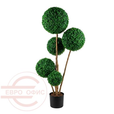 MC-6210378 Самшитовый топиарий Евро Офис (Зелёный)
