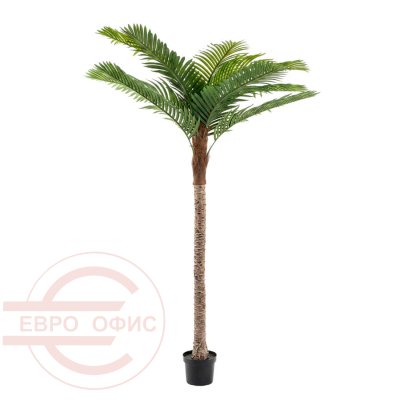 MC-20511LJ Искусственная финиковая пальма Евро Офис (Зелёный)