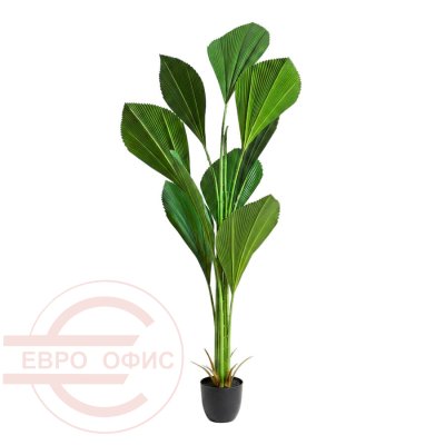 MC-36804SL Искусственная стрелиция Евро Офис (Зелёный)