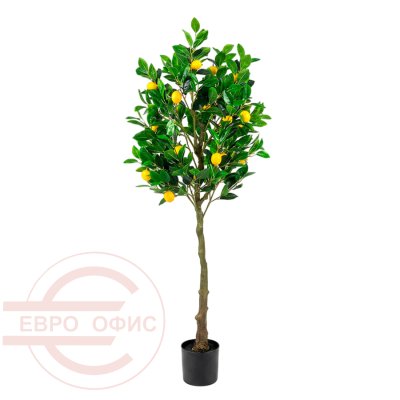 MC-76061LY Лимонное дерево с плодами Евро Офис (Зелёный)