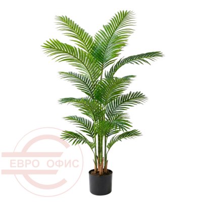 MC-20714PH Искусственная пальма арека Евро Офис (Зелёный)