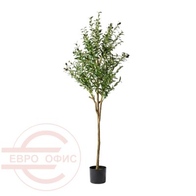 MC-25034LY Оливковое дерево с плодами Евро Офис (Зелёный)