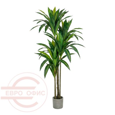 MC-40026JD Искусственная драцена Евро Офис (Зелёный)